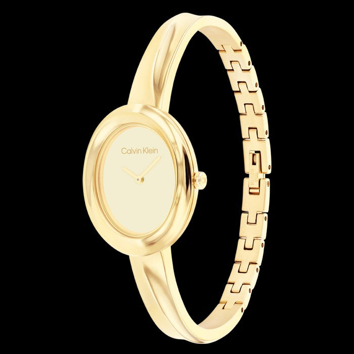 Relógio Calvin Klein Twisted 25100056