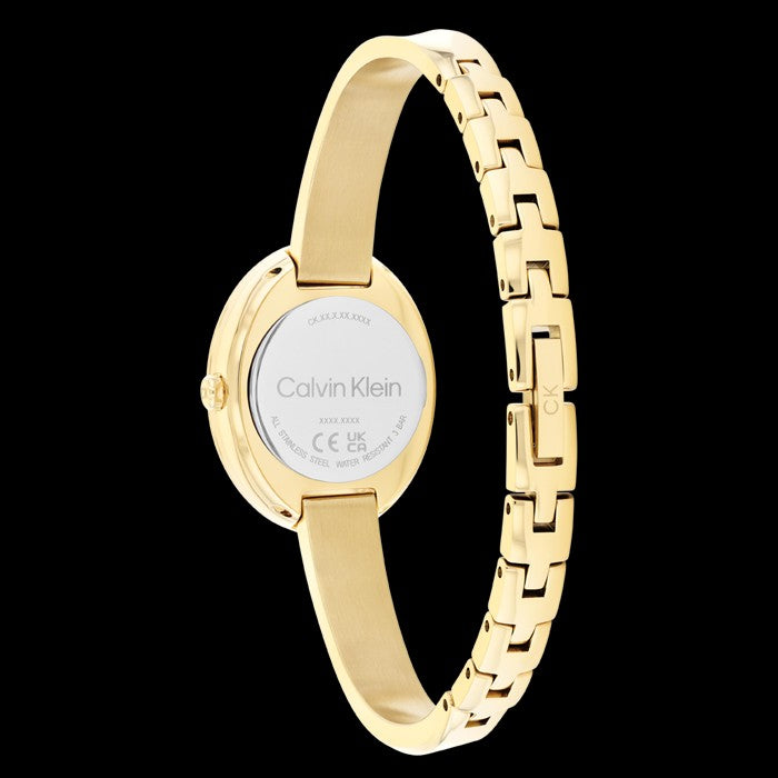 Relógio Calvin Klein Twisted 25100056