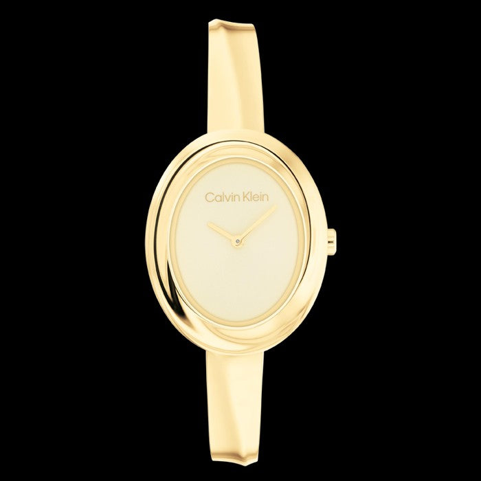 Relógio Calvin Klein Twisted 25100056